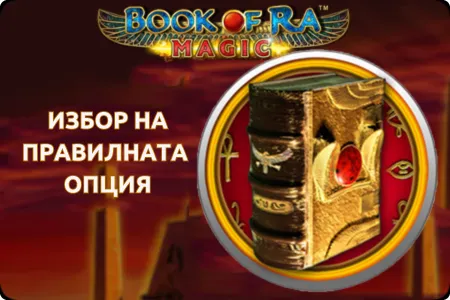 book of ra online casinos 